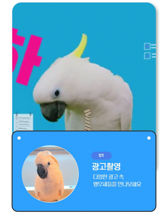 cafemacaw_방송_후버 (7)