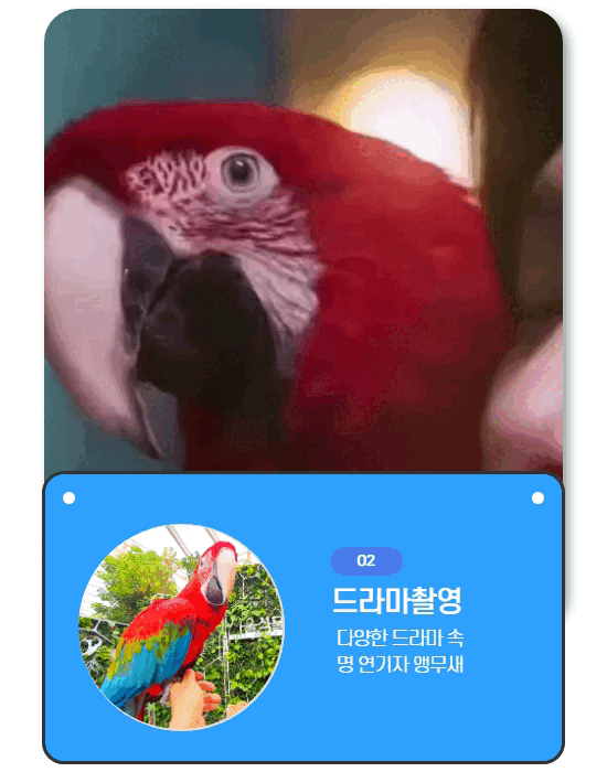cafemacaw_방송_후버 (8)