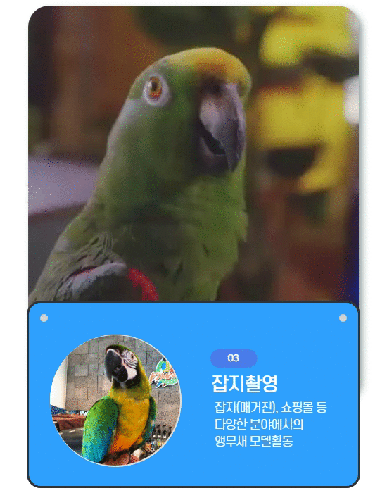 cafemacaw_방송_후버 (9)